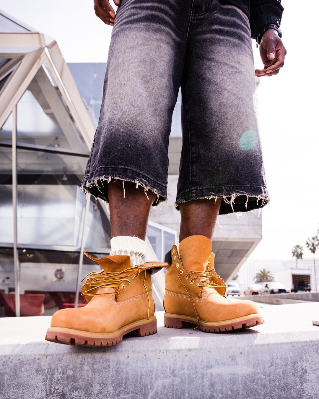 Timberland 6