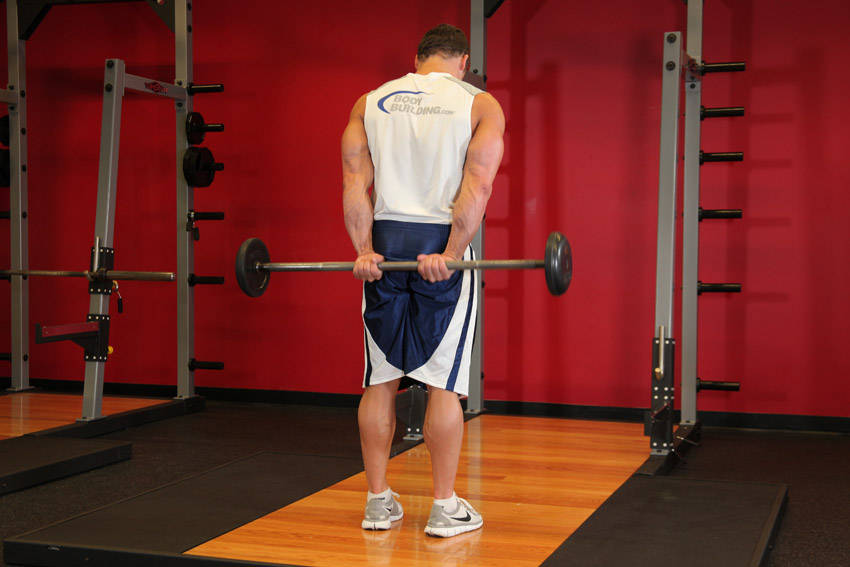 Behind the Back Barbell Wrist Curls