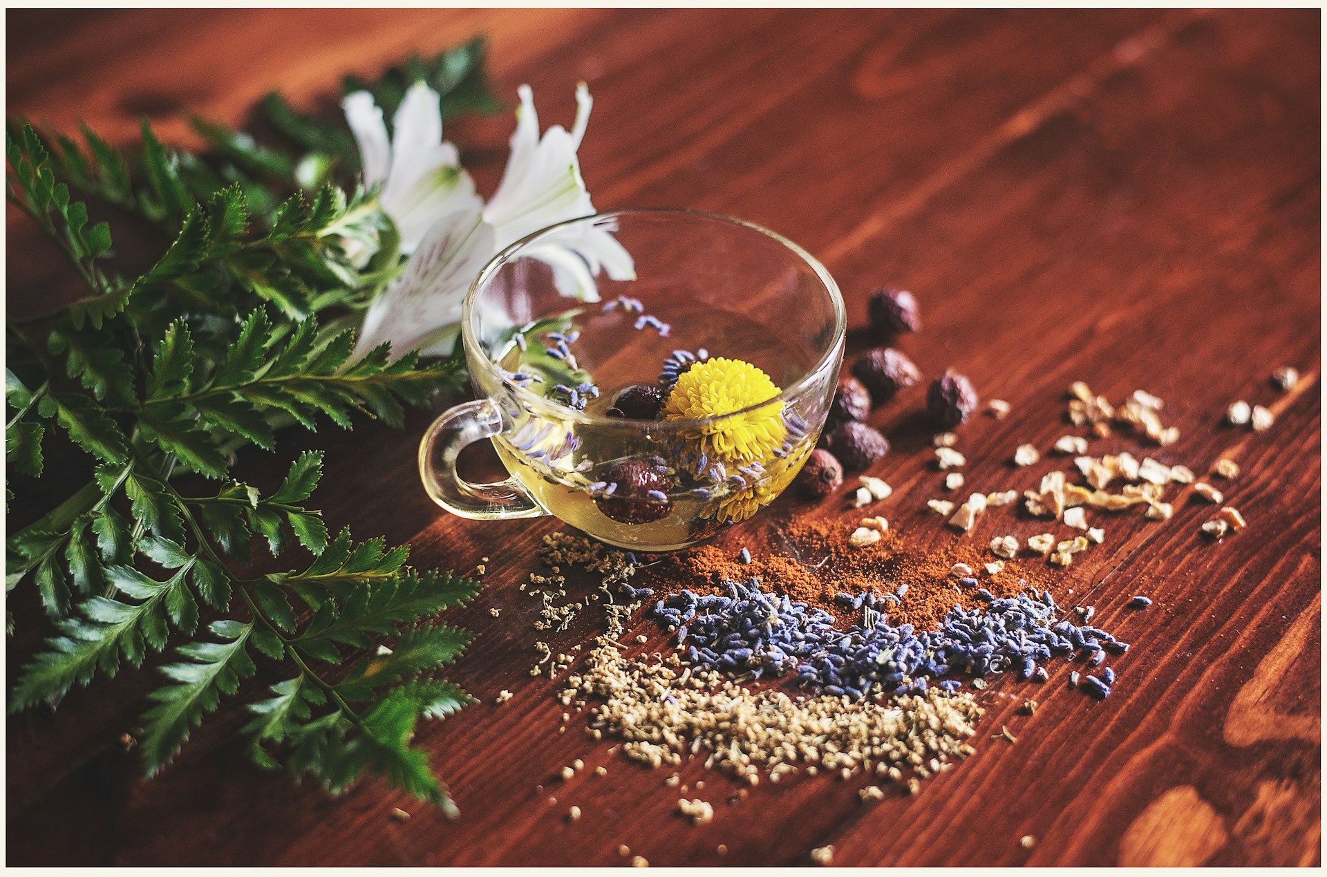 Chuyển sang lối sống không độc hại