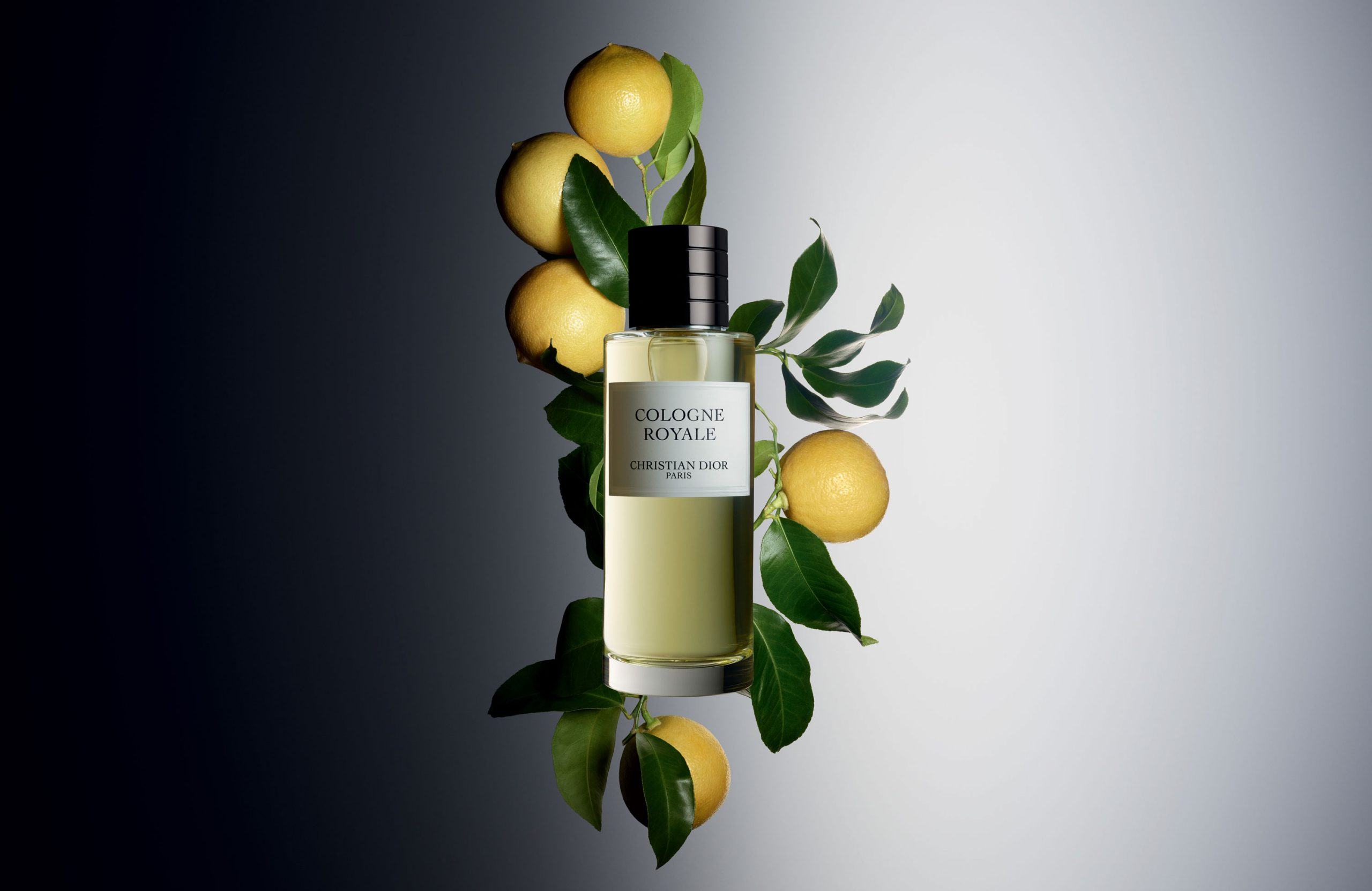 Cologne Royale