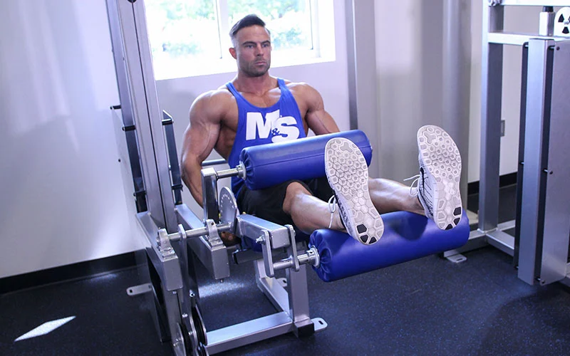 Seated Leg Curl