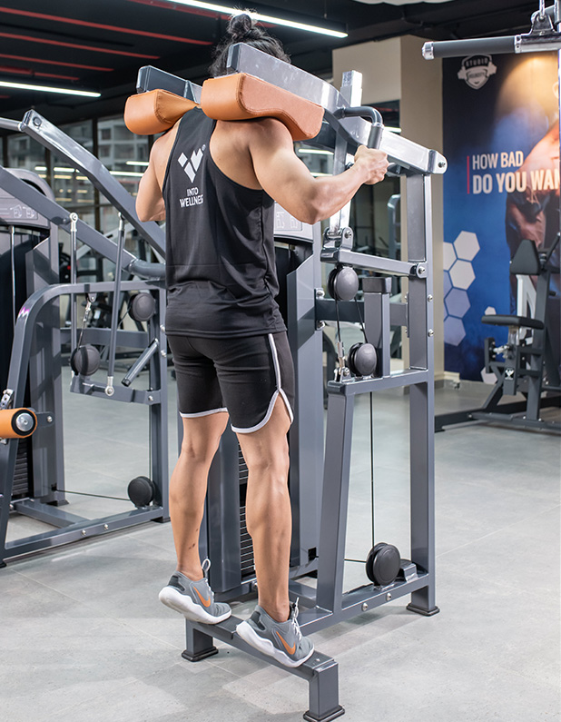 Standing Calf Raise